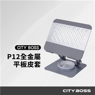 P12 合金旋轉/折疊平板支架