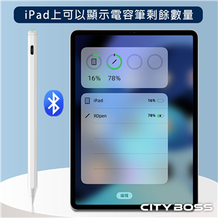 For iPad 專用磁吸充電芸芽 電容筆(不支援202